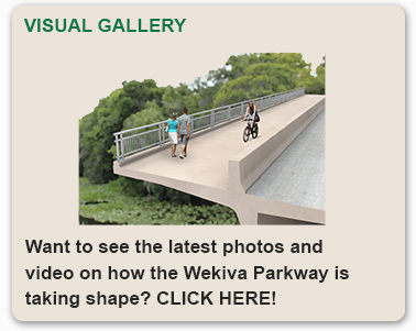 Visual Gallery